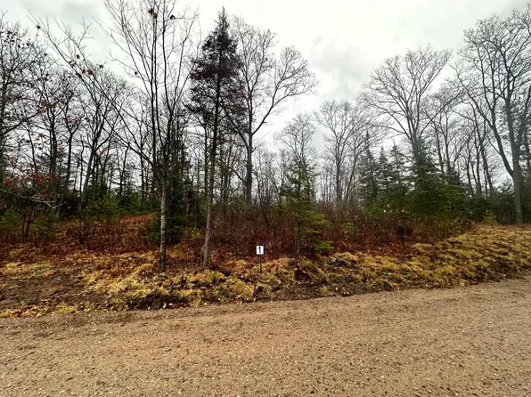 LOT 1 Cth B, Land O Lakes, WI 54540