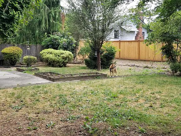 Fully Fenced Backyard