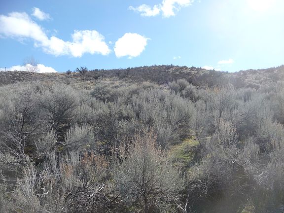 5th image of 4050 Plum Point E