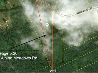 254 Alpine Meadows Rd, Porter Corners, NY 12859