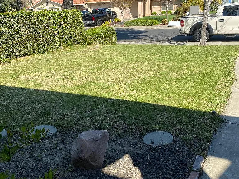 Front yard