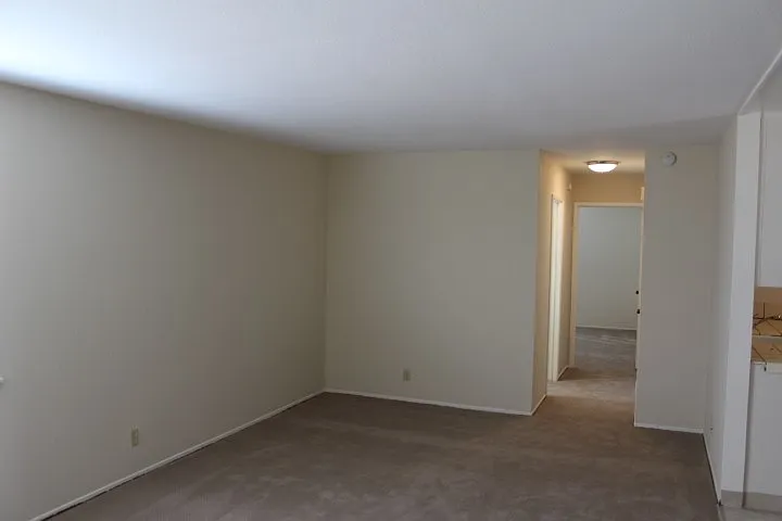421 Richmond Dr — Photo 5