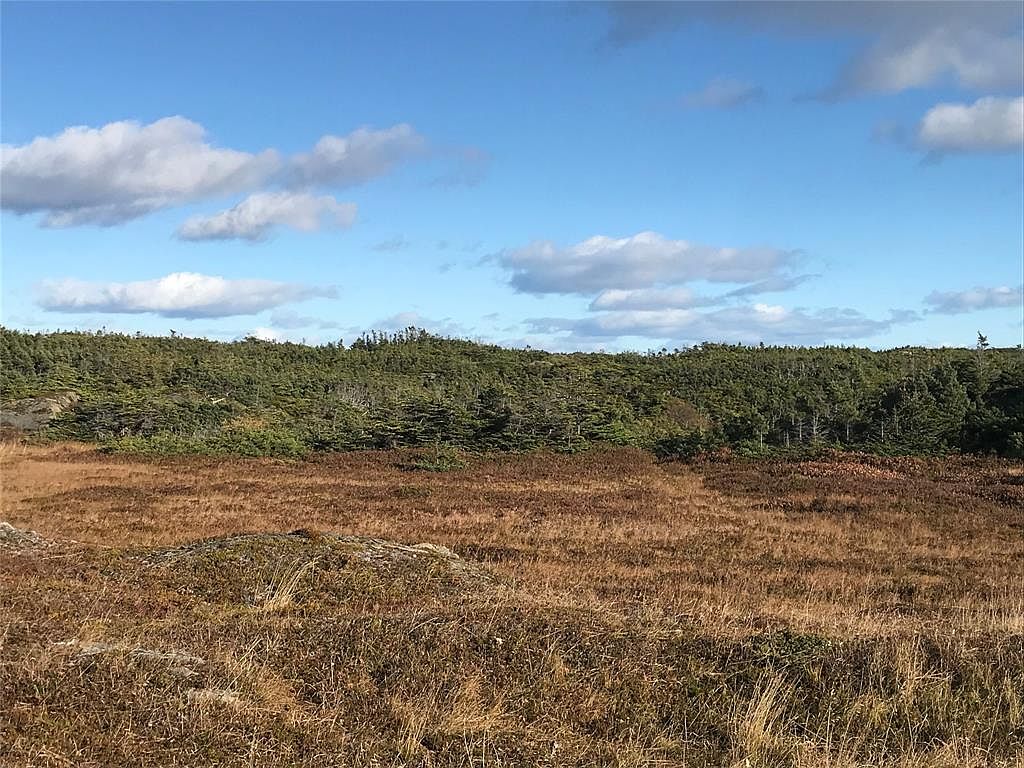 8 Water St 2, Trinity (Trinity Bay), NL A0C 2S0 MLS 1265059 Zillow