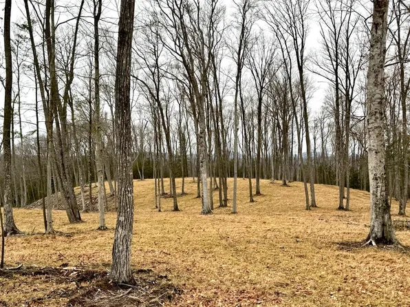 405 Ridge Run Rd, Mount Lookout, WV 26678