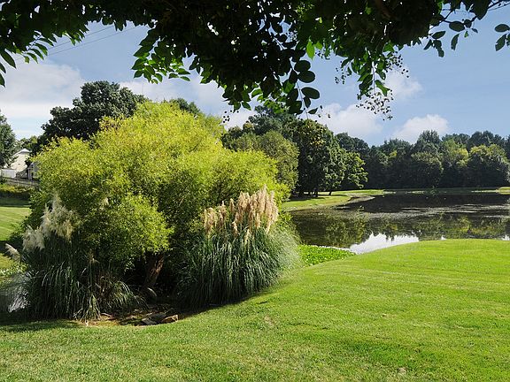 Views of Roswell Lake at Brookefield Apartments in Raleigh, NC