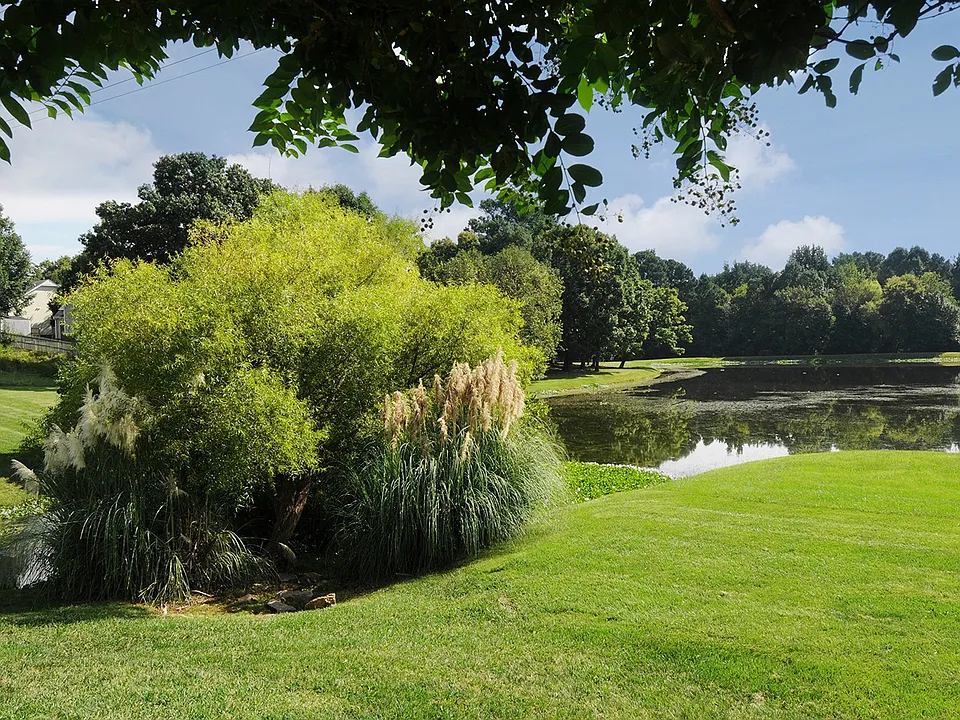 Views of Roswell Lake at Brookefield Apartments in Raleigh, NC