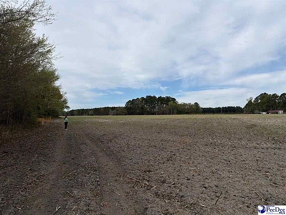 4th image of Mta 3 Judson Rd