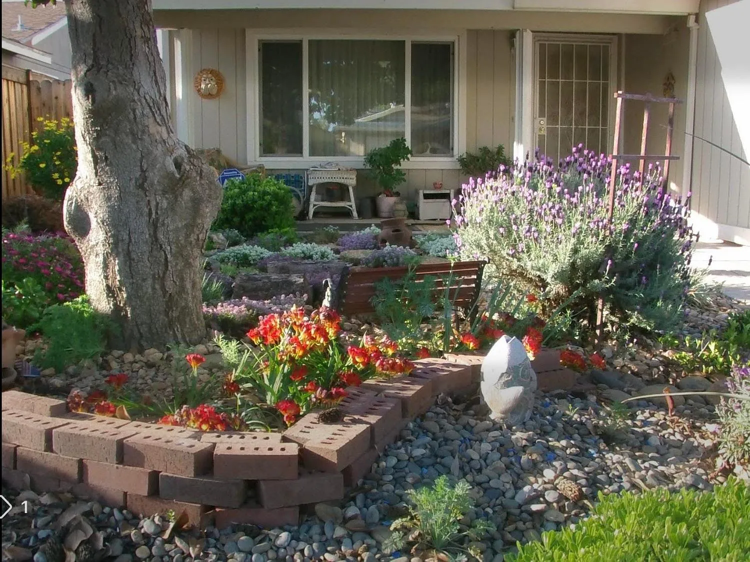 10246 Pistachio Way photo 1