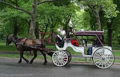 Rented by Rachel Realty