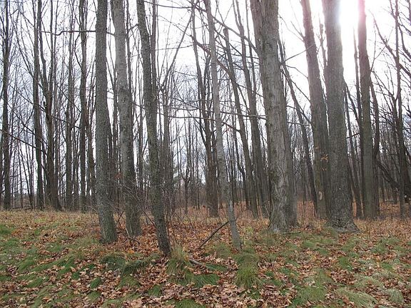 5th image of 62 Creek Dr