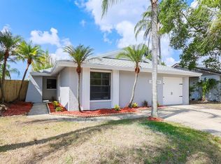 10339 Chadbourne Dr, Tampa, FL 33624
