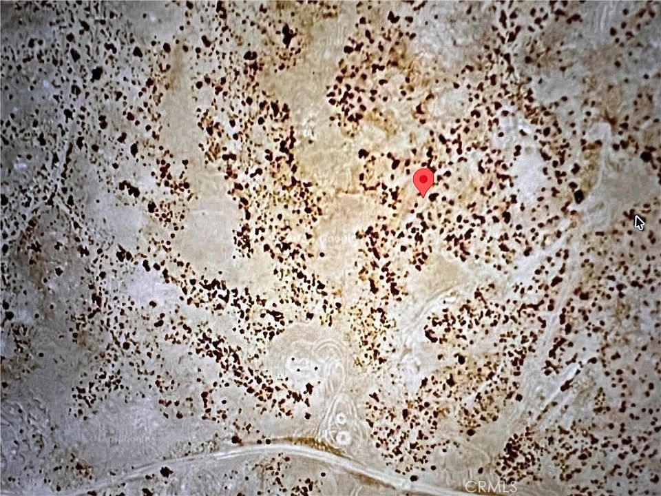 2nd image of 1 Hinkley Rd