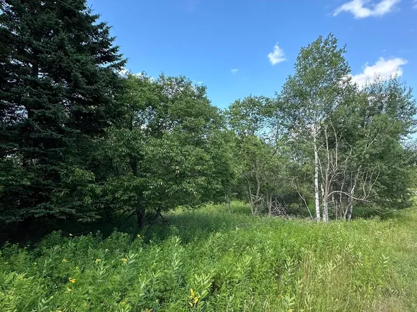 Blossom St, Iron River, MI 49935