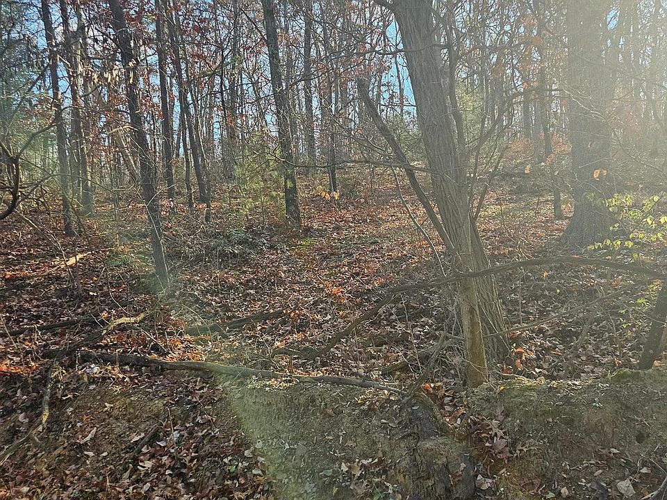 2nd image of 16 E Lincoln Ests