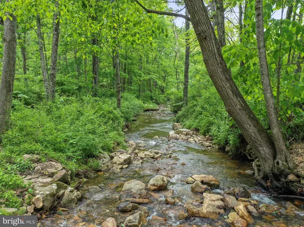 Corner Of Route & Hunkerson Gap Rd #259, Mathias, WV 26812