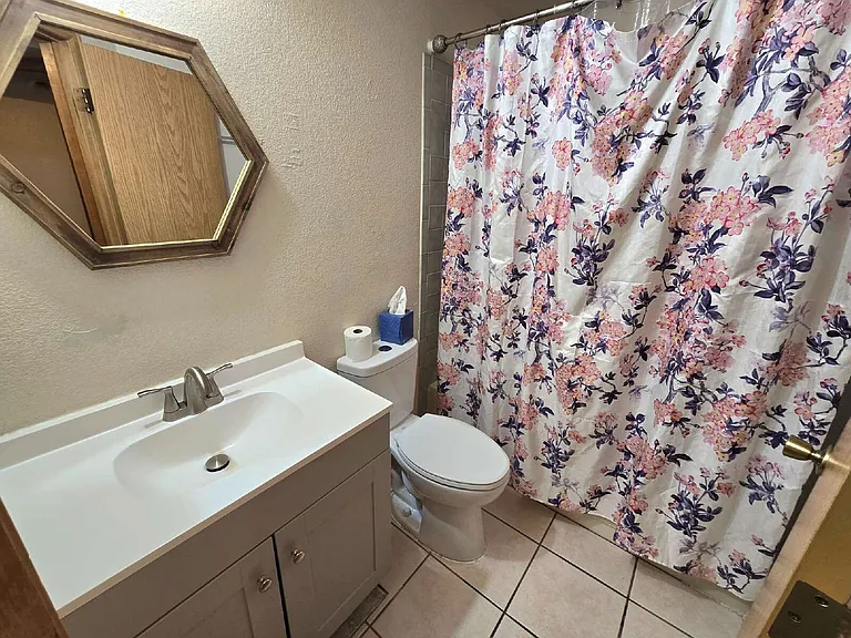 4391 Old Windmill Way — Photo 19