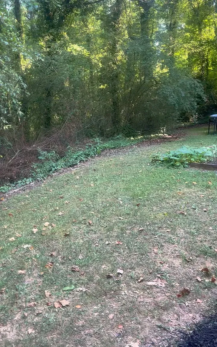 278 Pine Crest Dr — Photo 3