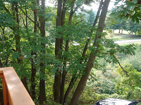 A view of the ravine and golf course from deck.