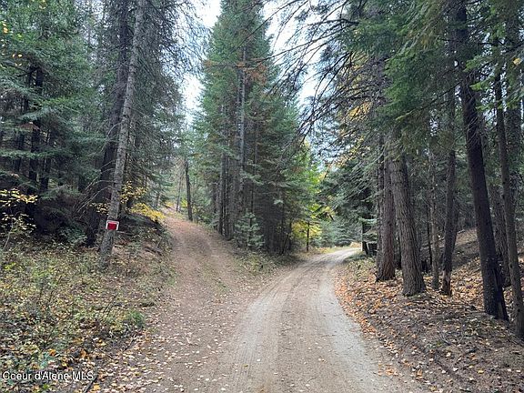 2nd image of Nka Rascals Rd