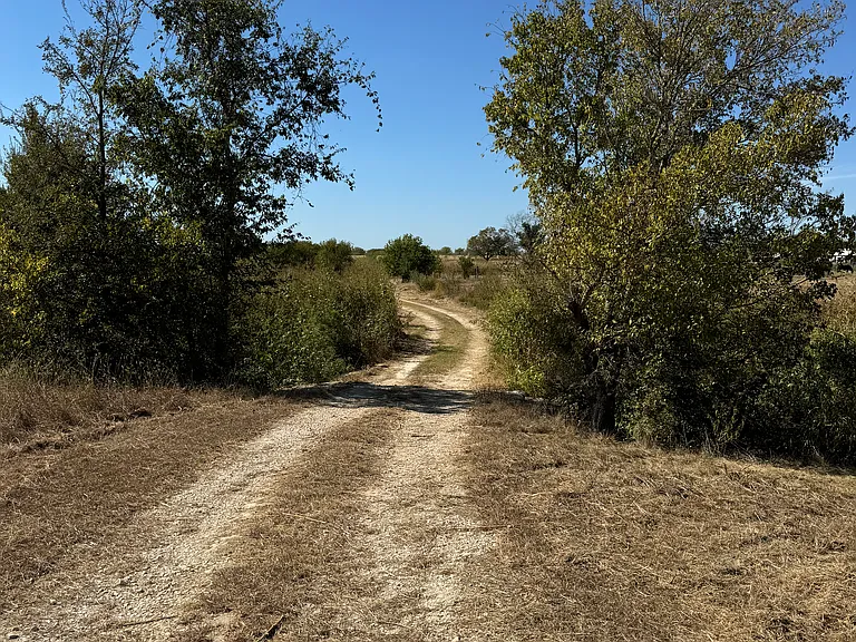 Grove Ln — Photo 8