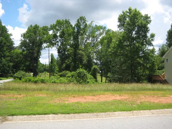 156 Scarlett Place Dr, Bowdon, GA 30108
