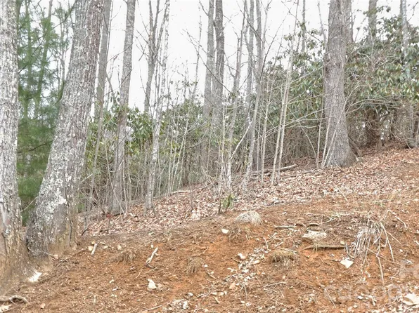 Vineyards Retreat Rd #14, Newland, NC 28657