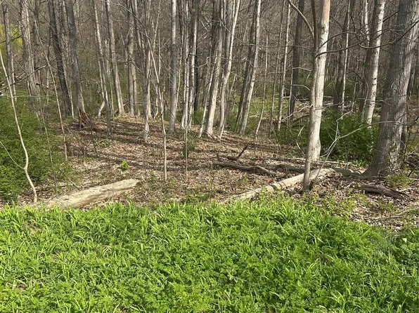 E Noxon Road, Lagrangeville, NY 12540