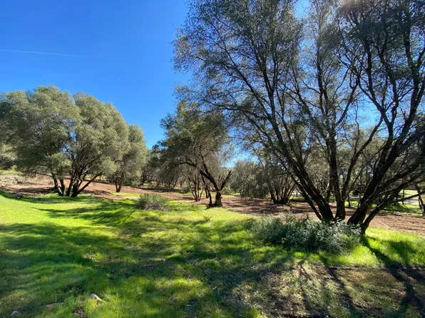 3798 Brodiea Ln, Mariposa, CA 95338