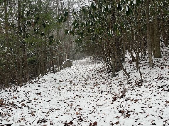 2nd image of 130 and 132 Teaberry Lane