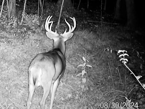 5th image of 40009 COUNTY RD S