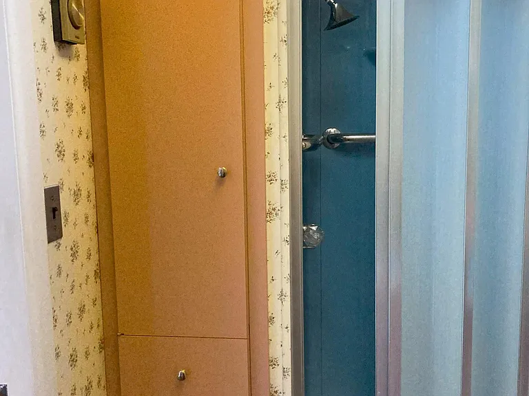 2nd bathroom located downstairs with shower and toilet and sink.