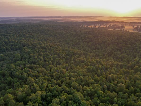 Red Bud Rd, Sturkie, AR 72578