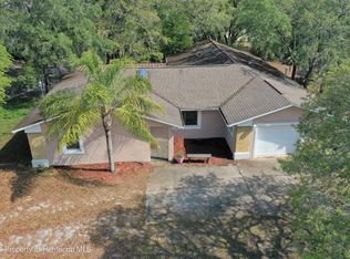 16143 Fringe Tree Dr, Spring Hill, FL 34610