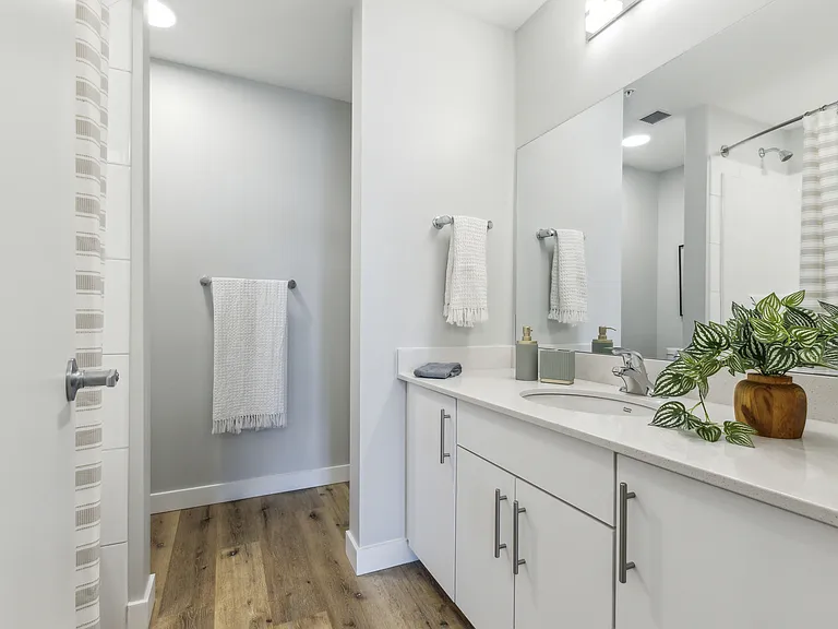 239 Eden Oak Trl — Photo 12