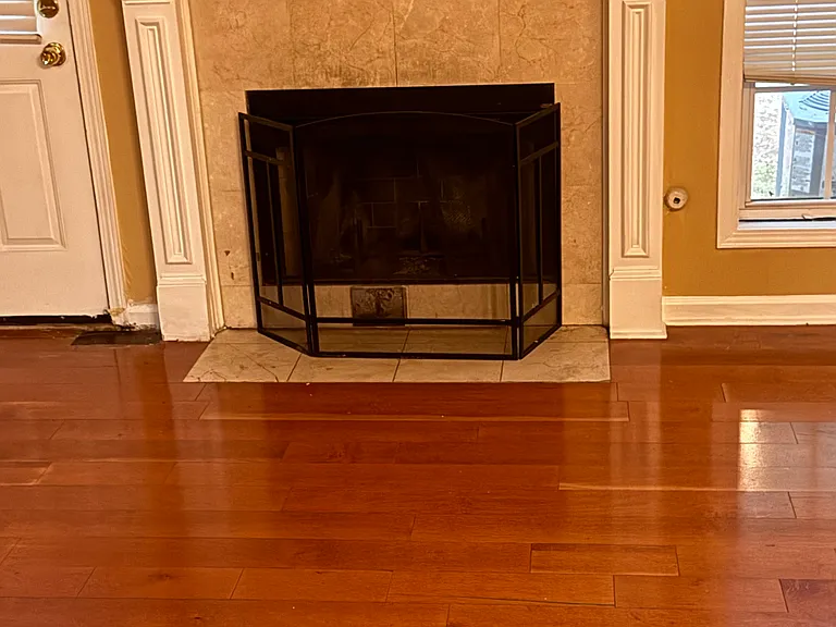 1161 Primrose View Cir — Photo 4