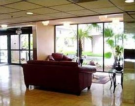 3rd image of 919 Hillcrest Dr APT 808