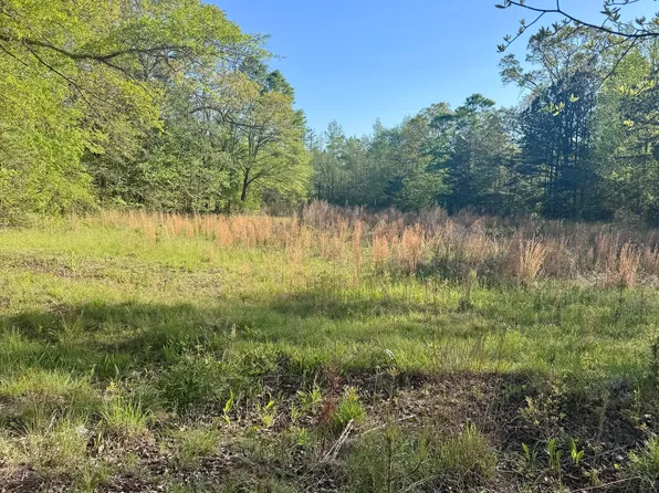 0 Susie Pope Rd, Buchanan, GA 30113