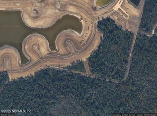 147 Spring Line Dr, Saint Johns, FL 32259