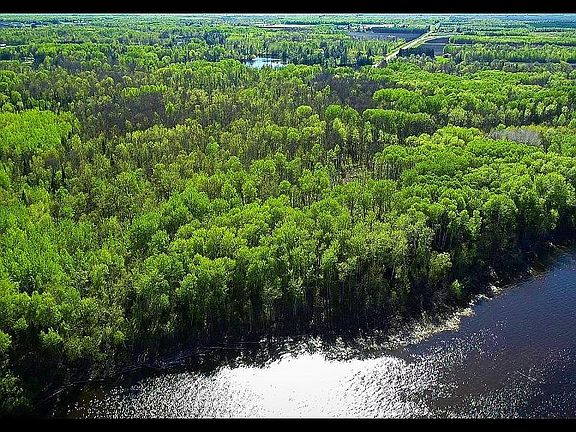 5th image of 11 Driftwood Ln