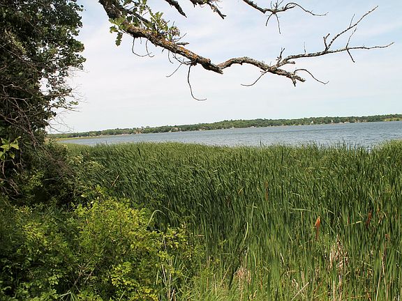 4th image of 11999 Lake Maud Trl