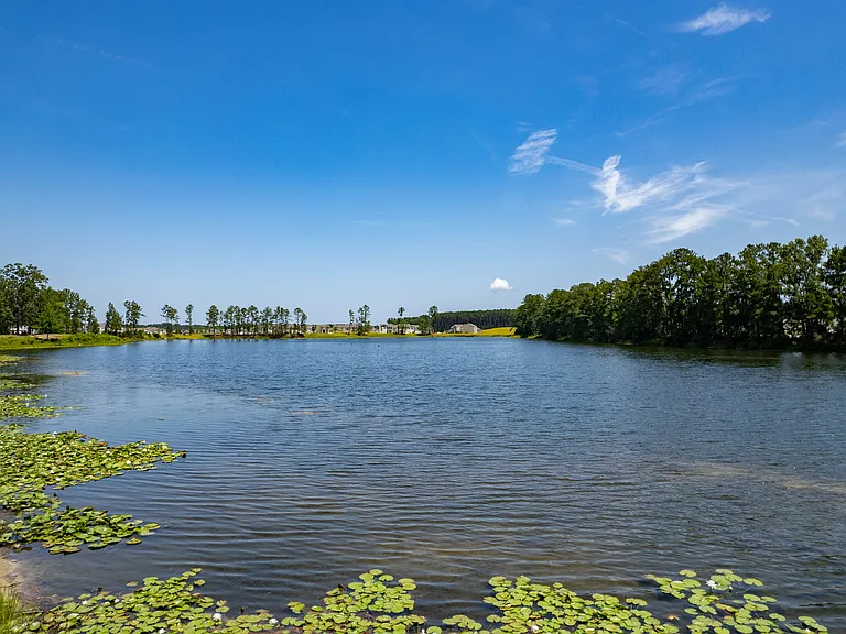 Waterside at Rice Hope — Photo 18