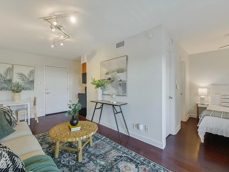 2020 S Congress Ave #1215 — Photo 4