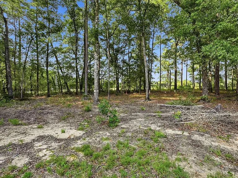 163 Tim Boland Rd — Photo 45
