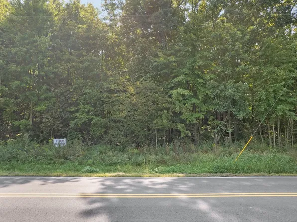 0 Hamer Rd, Georgetown, OH 45121