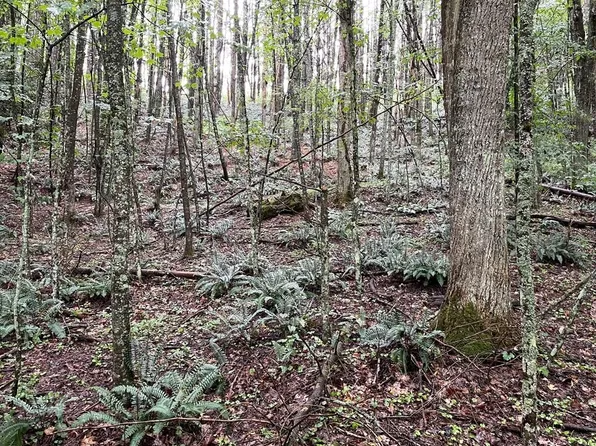 6486 Danville Pike, Hillsville, VA 24343