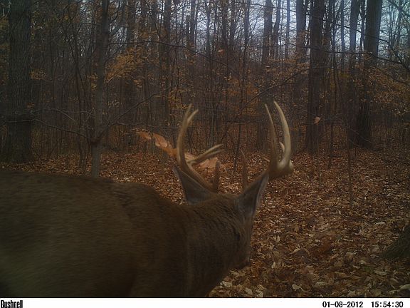 5th image of 5083 Kelley Farm Ln