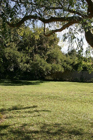 view of backlawn from kitchen of main house