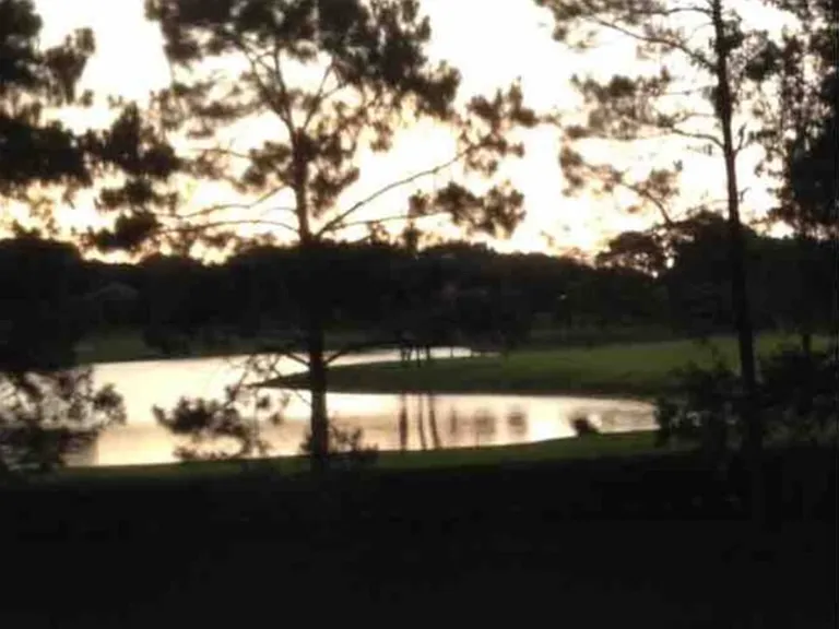 Hamptoncrest 201 Cir — Photo 17