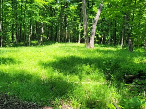 LOT Basswood Ridge Ln #I, Presque Isle, WI 54557