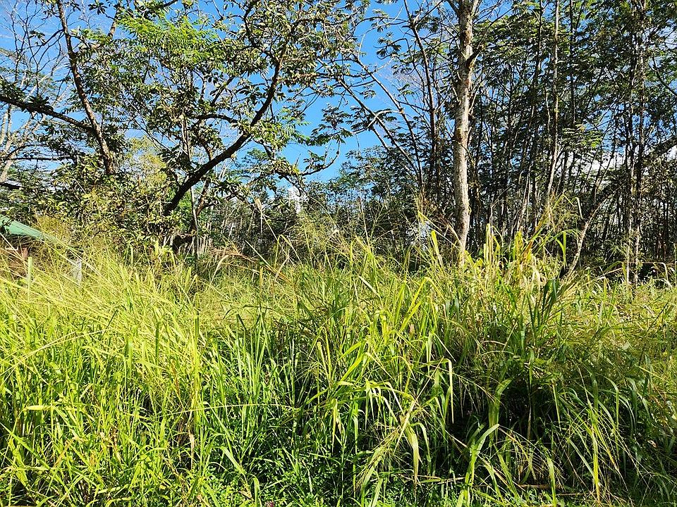 2nd image of Paradise Rd Lot 296